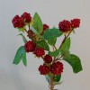 Artificial Raspberry Branch - RAS004 M2 Artificial Raspberry Branch - RAS004 M2