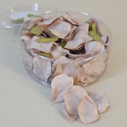 Rose Petals Mink Silk 164 Petals - R309