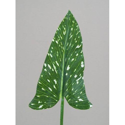 Artificial Calla Lily Leaf - CAL003 JJ2