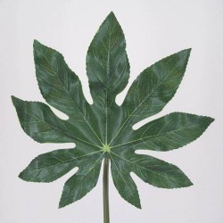 Artificial Fatsia Leaf Small - FA001 E2