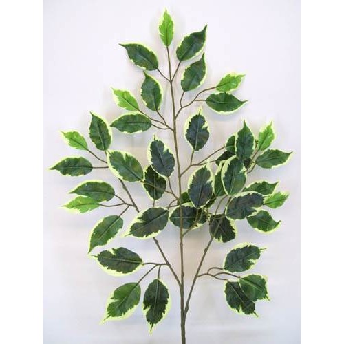 Luxury Variegated Artificial Ficus Leaves - FIC002 