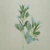 Artificial Lambs Ears - LAM001 I4