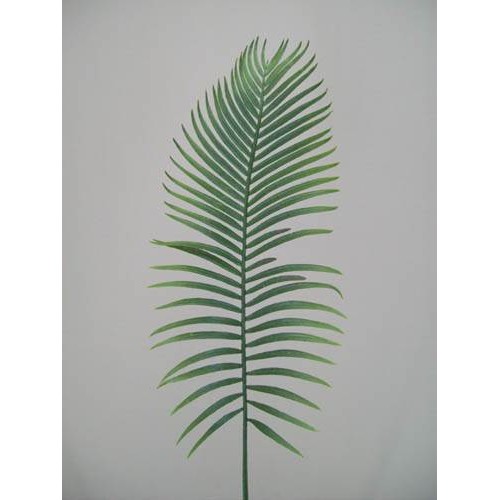 Large Artificial Cycas Palm Leaf - PM004 K2