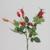 Artificial Rose Hips 55cm - R243 U2