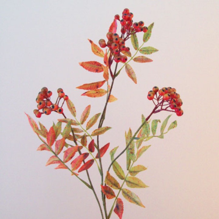 Berries