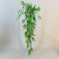 Bamboo