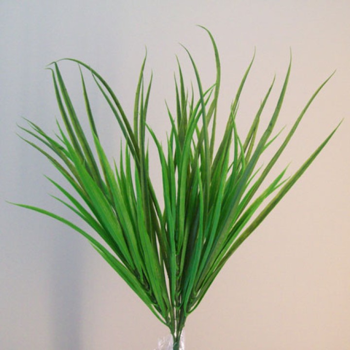 Grasses