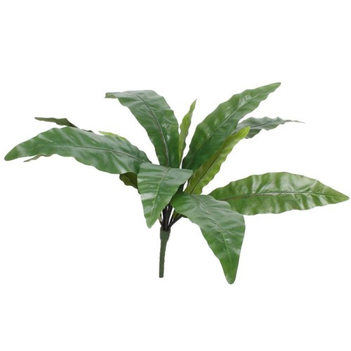 Artificial Bird's Nest Fern Plant 60cm | Asplenium Plant - FER008 E3 Artificial Bird's Nest Fern Plant 60cm | Asplenium Plant - FER008 E3