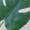 Artificial Cheese Plant Leaves - CHE003 E2