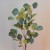 Artificial Eucalyptus Silver Dollar - EUC045 E2