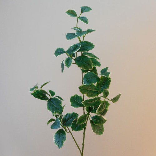 Artificial Euonymous Stem Dark Green - EUO002 E4 Artificial Euonymous Stem Dark Green - EUO002 E4