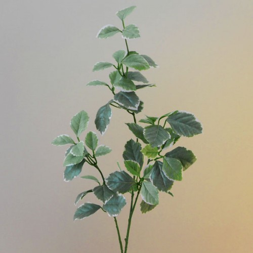 Artificial Euonymous Stem Light Green - EUO001 F3 Artificial Euonymous Stem Light Green - EUO001 F3