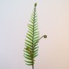 Artificial Fiddle Head Fern Leaves - FER011 E3 Artificial Fiddle Head Fern Leaves - FER011 E3