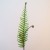 Artificial Fiddle Head Fern Leaves - FER011 E3