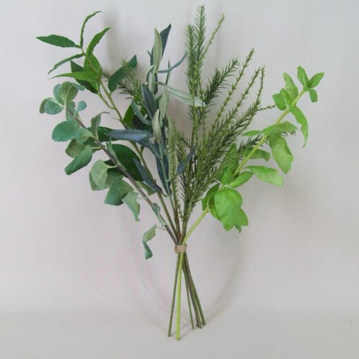 Herbs Herbs