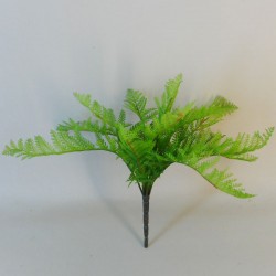 Lady Fern Plants Green - FER052 H4