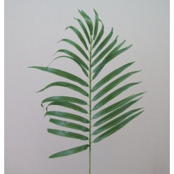 Artificial Parlour Palm Leaves - PM007 GG4