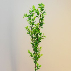 Small Leaf Artificial Ruscus Branch Two Tone Dark Green - RUS002 L3