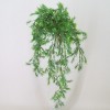 Artificial Sprengeri Trailing Plant 70cm - SPR007 EE2