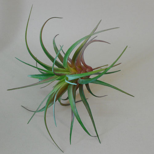 Artificial Succulent Tillandsia - SUC004 S1