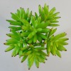 Artificial Succulents Bundle Green Senecio - SUC015 DD3