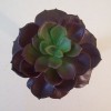 Artificial Succulent Camellia Burgundy - SUC011 JJ3 Artificial Succulent Camellia Burgundy - SUC011 JJ3