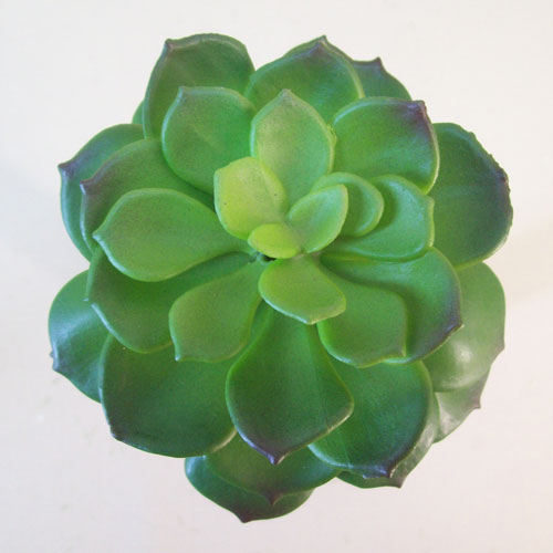 Artificial Succulent Camellia Green - SUC010 