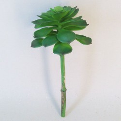 Artificial Succulent Camellia Green - SUC010 