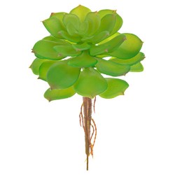 Artificial Succulent Camellia Green with Roots - SUC003 GS2B