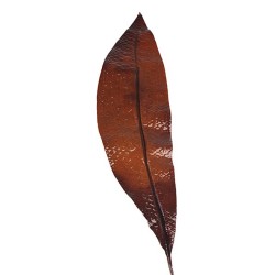 Artificial Aspidistra Leaf Chocolate Brown Snake Effect - ASP002 A1