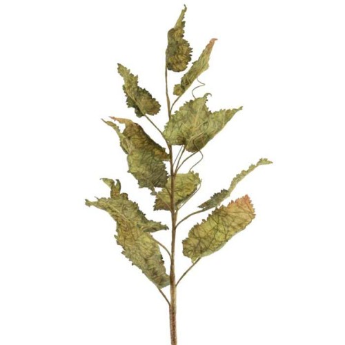 Faux Dried Artificial Leaves Spray Green 77cm - LEA005 LL1