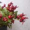 Artificial Rosehips Dark Red 46cm - R398 U4 Artificial Rosehips Dark Red 46cm - R398 U4