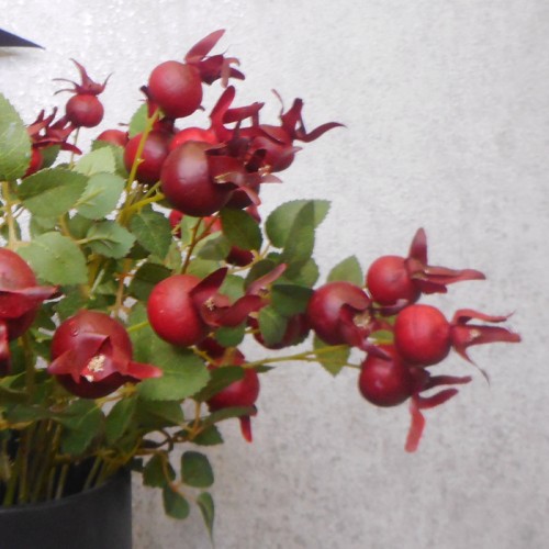 Artificial Rosehips Dark Red 46cm - R398 U4 Artificial Rosehips Dark Red 46cm - R398 U4