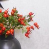 Artificial Rosehips Red 46cm - R397 U4 Artificial Rosehips Red 46cm - R397 U4