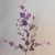 Artificial Birch Leaves Branch Purple 92cm - BIR007 
