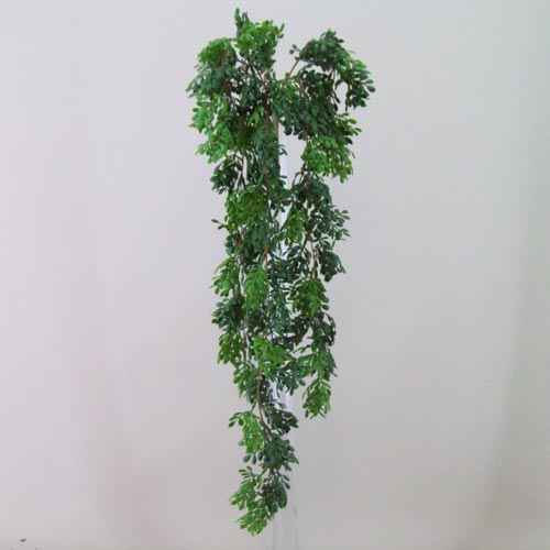 Trailing Boxwood Artificial Plants - BOX018 A3