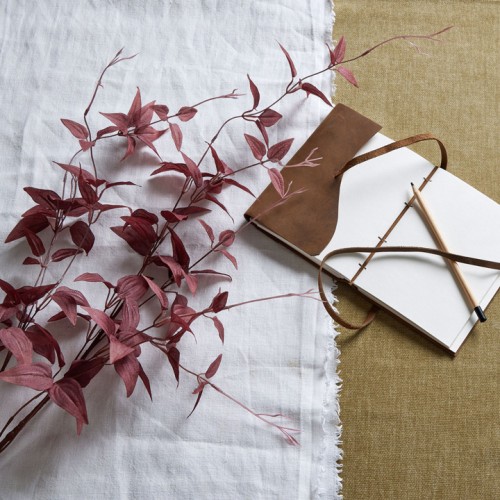 Ornamental Clematis Leaf Burgundy 115cm - CLE002 BB2