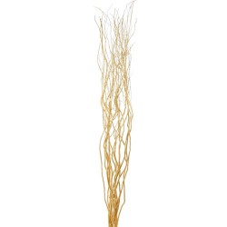 Contorted Willow Bundle Gold - WIL008