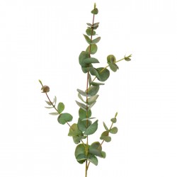 Silk Eucalyptus Stem Green 80cm - EUC062 H4