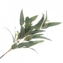 Artificial  Eucalyptus Nicoli Green 84cm - EUC028 E4