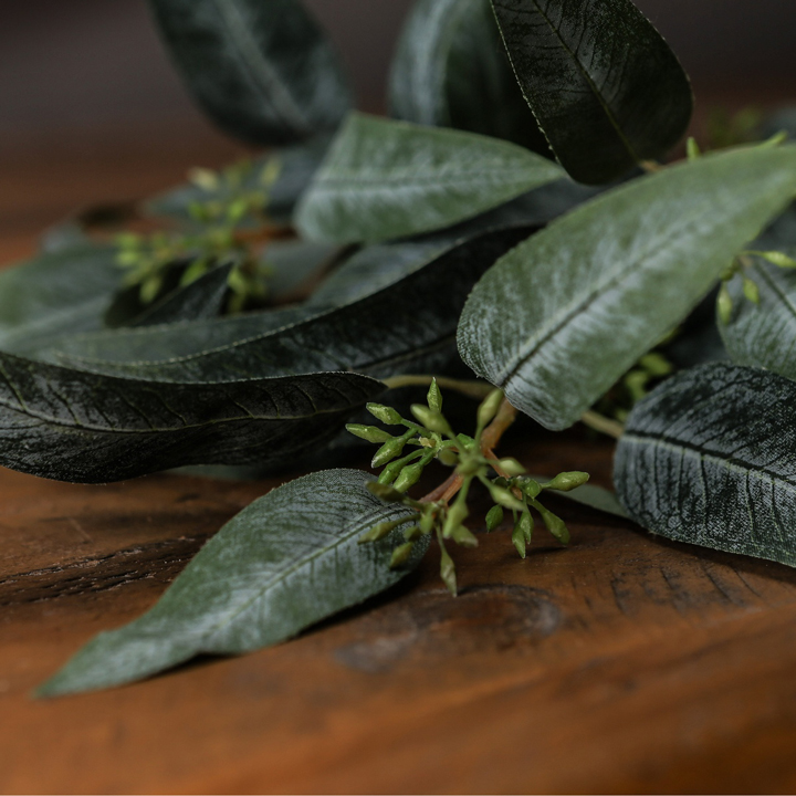 Eucalyptus