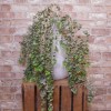 Artificial Eucalyptus Plants Trailing 92cm - EUC010 GG4