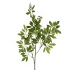 Long Fennel Stem 76cm - FEN001