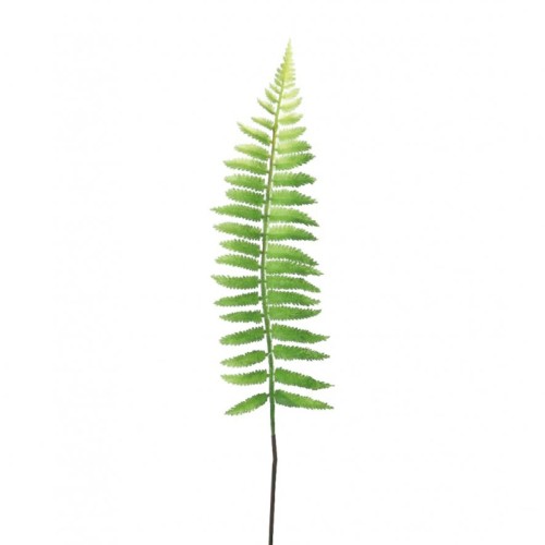 Artificial Ostrich Fern Leaf 60cm - FER081 JJ2