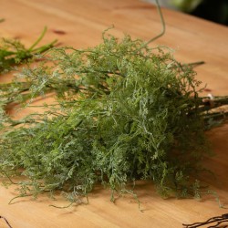 Artificial Asparagus Fern Bunch 53cm  - ASP005 