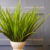 Artificial Grass Plants Green 43cm - DRA006 Artificial Grass Plants Green 43cm - DRA006