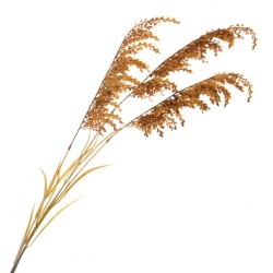 Artificial Pampas Grasses Burnt Orange 150cm - PAM039 E1