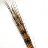 Zebra Grass and Pheasant Feathers 120cm - ZEB001 F1