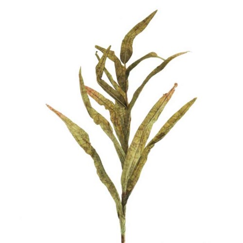 Faux Dried Artificial Reeds Spray Green 104cm - GRA017 R3