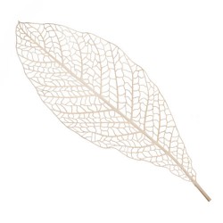 Lacy Skeleton Leaf Cream - SKE002 S3